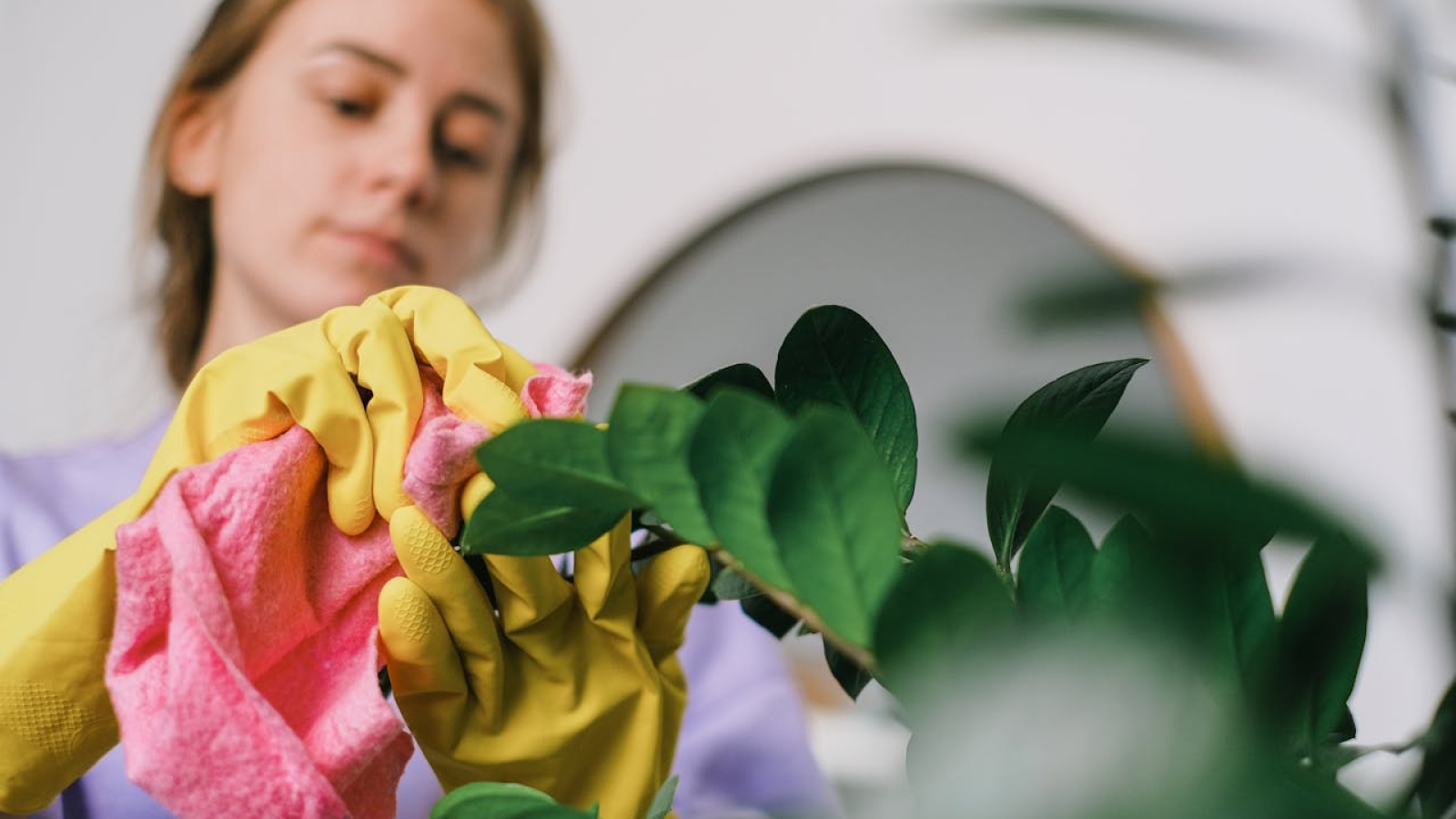 cijena generalnog čišćenja Zagreb