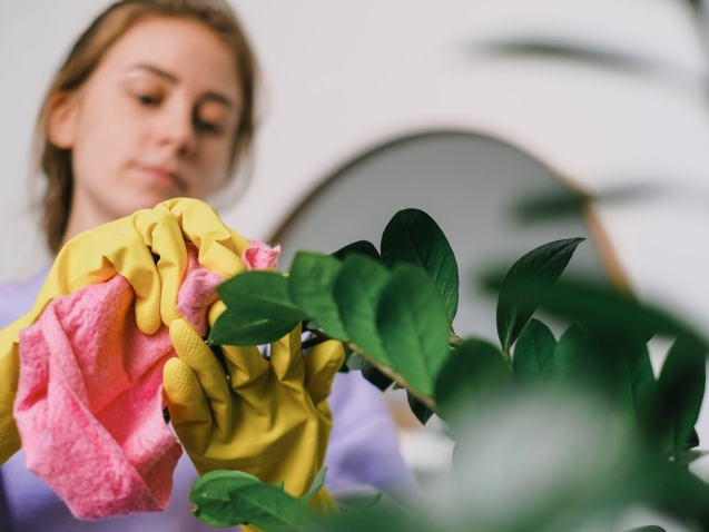 Home 121 cijena generalnog čišćenja Zagreb